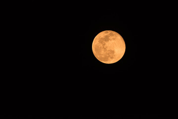 Harvest moon looks orange in night sky