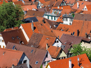 Dächer