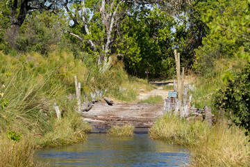 nature of the okavango delta in botswana