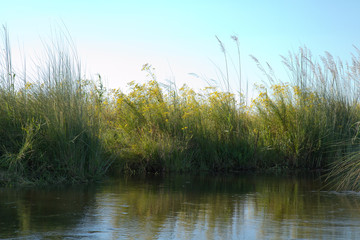 nature of the okavango delta in botswana