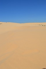 Fototapeta na wymiar Wasteland of Sand