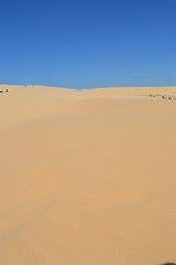 Wasteland of Sand