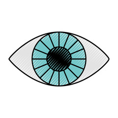 eye human isolated icon vector illustration design