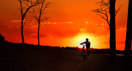 Fototapeta na wymiar Silhouette of a biker with a dog, walking in the forest at sunset 