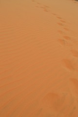 Foot Prints on Red Sand