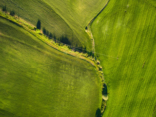Aerial top view of a green field. Summer season.