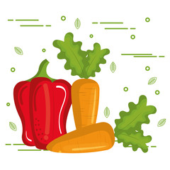 Colorful vegetables over white background vector illustration