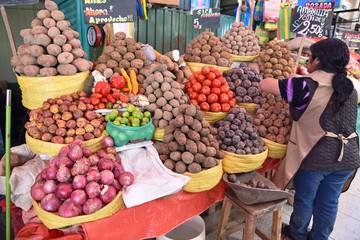 Pommes de terres des Andes au marché indien de Arequipa au Pérou