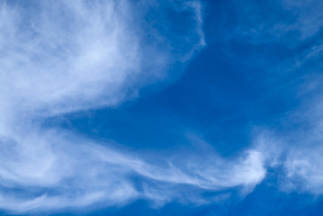 Fototapeta na wymiar blue sky with a clouds