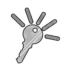 key door isolated icon vector illustration design