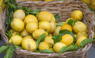 Organic lemon.Organic lemon in basket