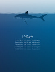 659акулина прыски