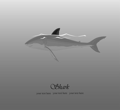 Sea background with a shark and a fin sticking out of the water, vector illustration, black and white