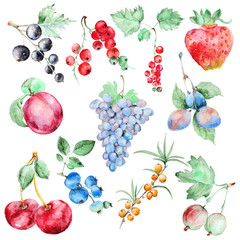 Watercolor fruits set