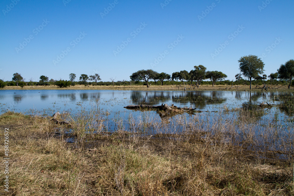 Poster nature of the okavango delta in botswana