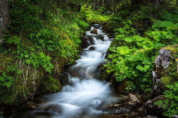 Obraz premium Cascades in a forest