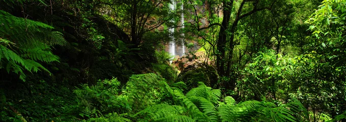 Stickers muraux Australie Australia Landscape : Queen Mary Falls of Main Range National Park in Queensland