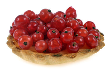 Tarte aux groseilles sur fond blanc