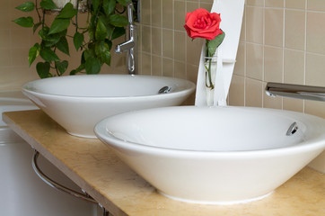 couple of washbasin in white ceramic in country bathroom