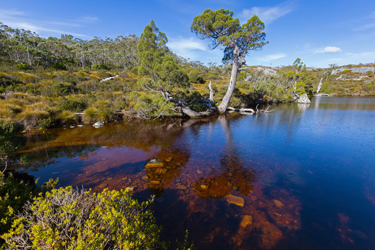 Wombat Pool, Cradle mountain at Lake St Clair National Park in Tasmania, Australia.