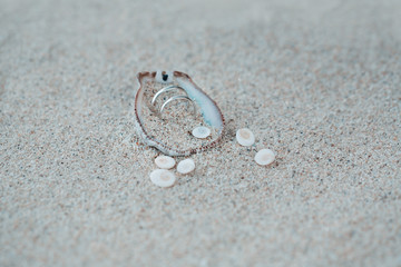 Fototapeta na wymiar Two wedding rings in sea shell with shiva eye stones on the coral beach. Soft focus
