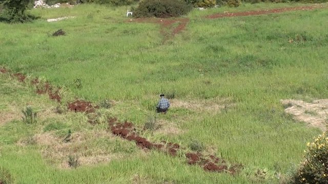 Man cutting grass