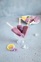 Homemade Blueberry Popsicles