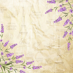 The lavender elegant card. Vintage postcard background vector template for wedding invitation. Label with lavender flowers. Vector illustration.