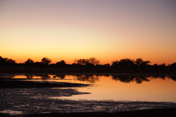 sunset in the moremi game reserve in botswana