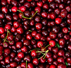 red cherry background