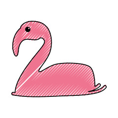 exotic flamingo silhouette icon vector illustration design