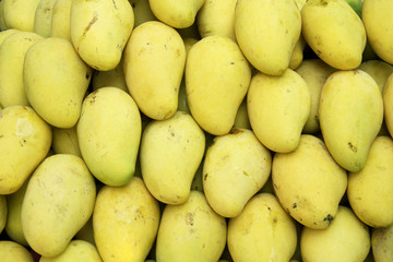 Mango fruits on the local market stand in Thailand