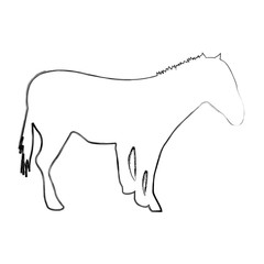 horse silhouette isolated icon vector illustration design