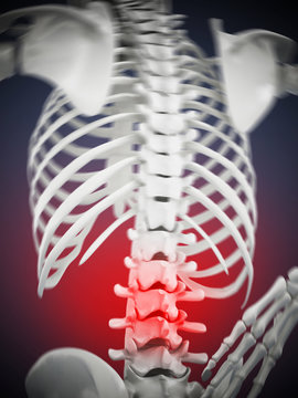 3D illustration showing back pain. 3D illustration