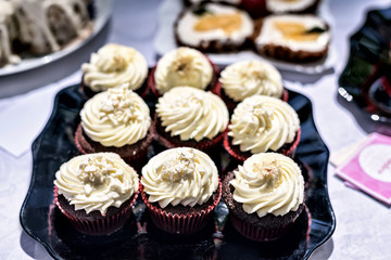Chocolate Cupcakes Summer delicious colorful desserts