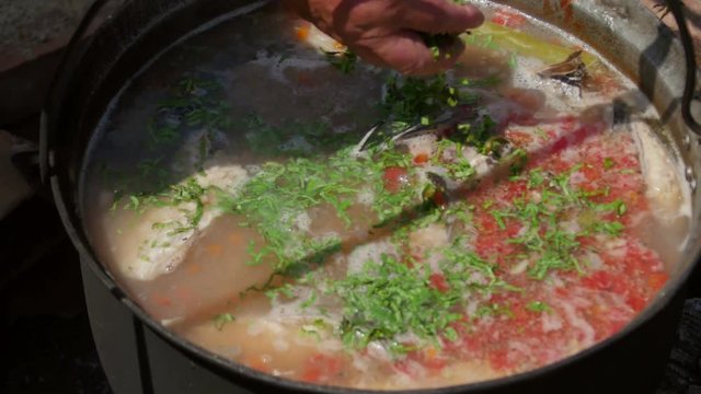 Traditional fish broth from Danube Delta. Chef adding fresh lovage and parsley into cauldron with boiling fish.