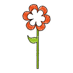 cute flower isolated icon vector illustration design