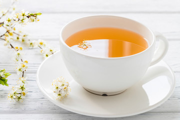 Fresh herbal tea with blooming brunch