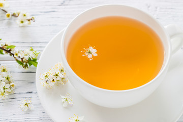 Fresh herbal tea with blooming brunch