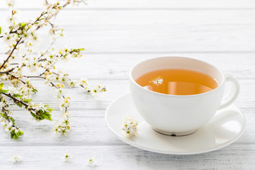 Fototapeta na wymiar Fresh herbal tea with blooming brunch