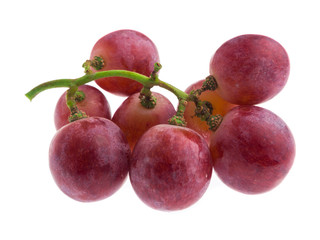 red grape isolated on white