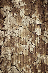 Semidry cracked clay
