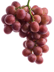 red grape isolated on white