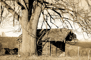 old hut