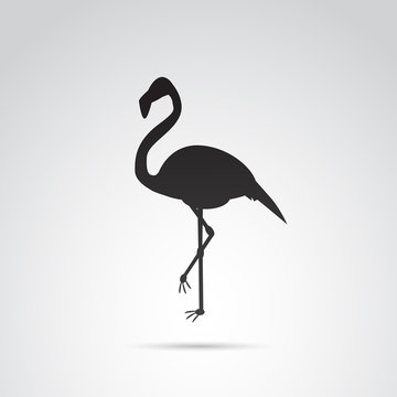 Flamingo vector icon.