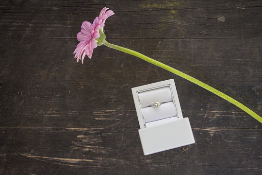 Will you merry me?