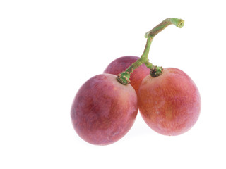 red grape isolated on white