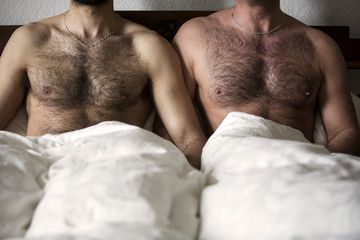 two naked men with hairy chest in bed