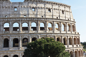 Obraz premium Colosseum spectacular monument of ancient Rome in Italy 