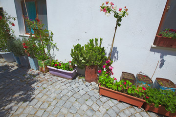 Cozy cute view of Mediterranean village touristic route sea side town street flower decoration in pots